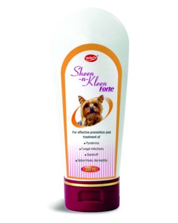 Sheen-n-kleen forte